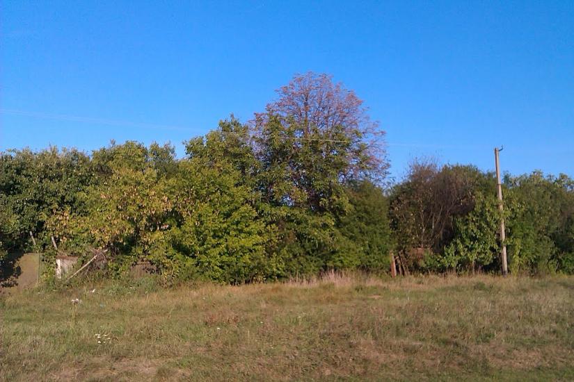 Малі Проходи з panoramio.com - Малі Проходи