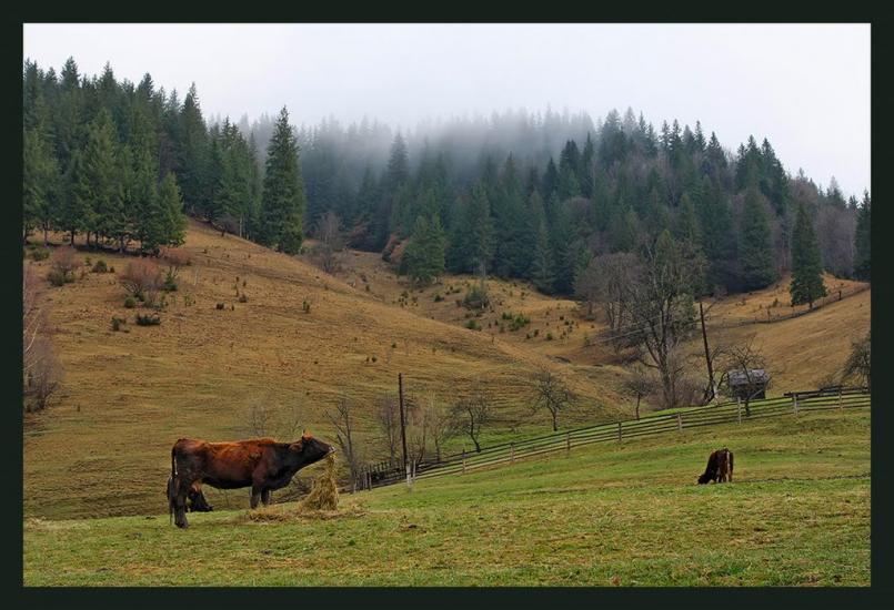 Красник з panoramio.com - Krasnyk