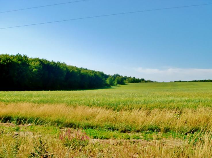 Багачівка з panoramio.com - Багачівка