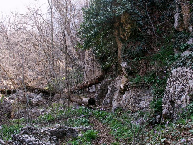 Оползневе з panoramio.com - Оползневое