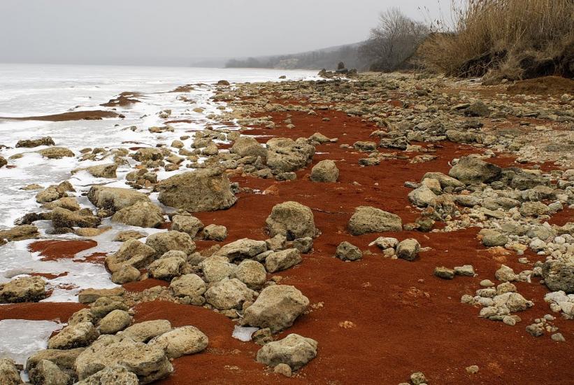 Скельки з panoramio.com - Скельки