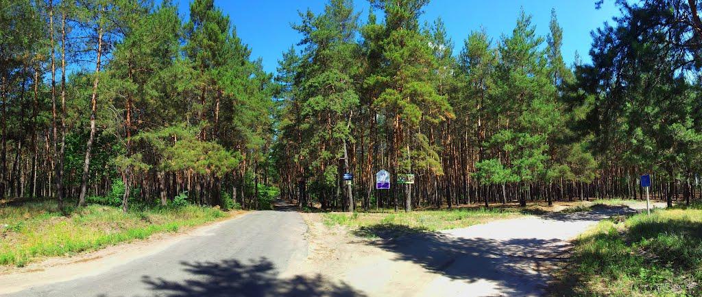 Верхоли з panoramio.com - Verkholy