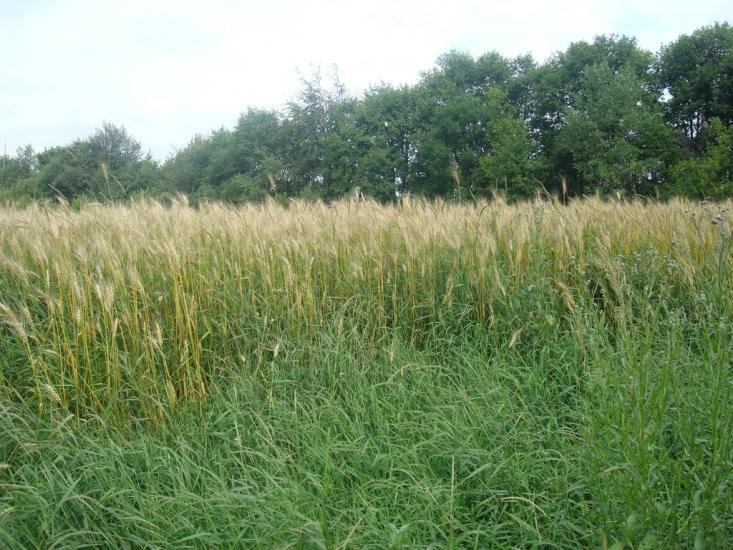 Мацьківці з panoramio.com - Мацьковцы