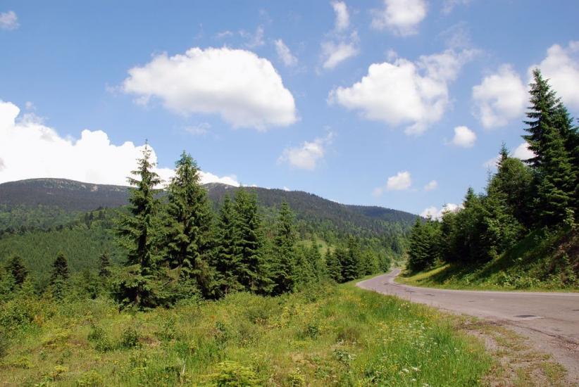 Стригальня з panoramio.com - Strygalnya