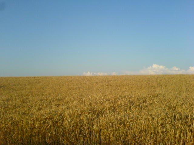 Попівка з panoramio.com - Поповка