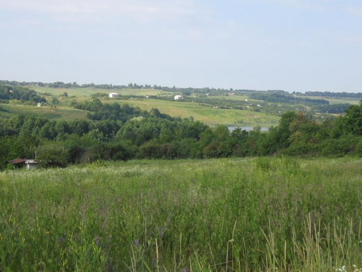 Таранівка з panoramio.com - Тарановка