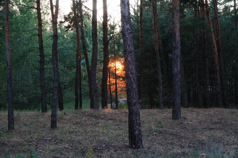 Новокомсомольське з panoramio.com - Новокомсомольское