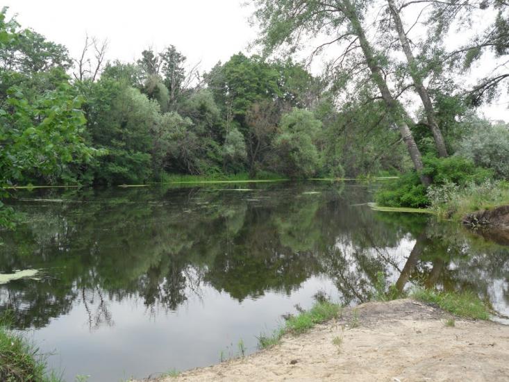 Курортне з panoramio.com - Курортное