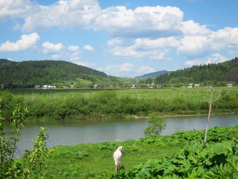 Рибник з panoramio.com - Rybnyk