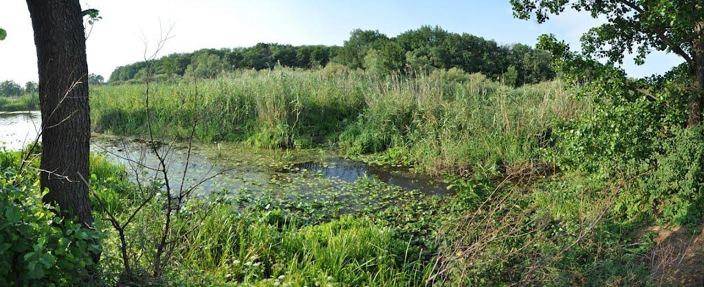 Верхоли з panoramio.com - Verkholy
