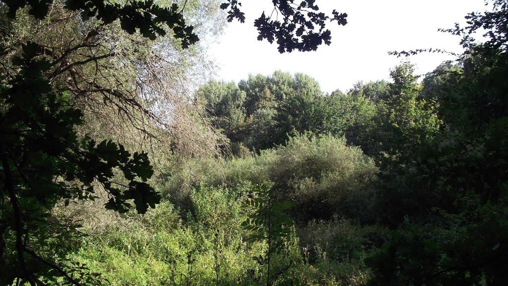 Микільське з panoramio.com - Никольское