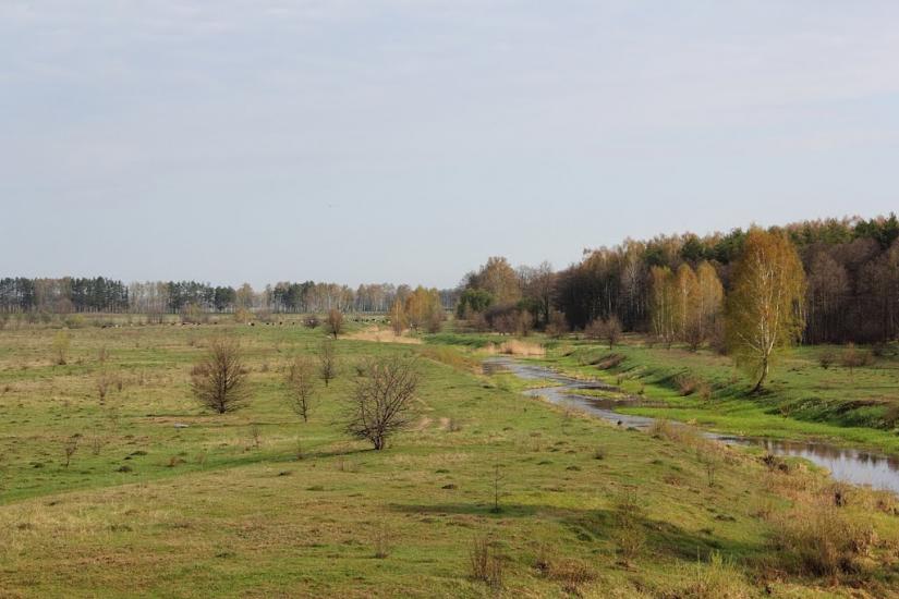 Курне з panoramio.com - Курное