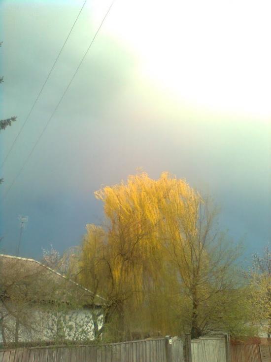 Попівка з panoramio.com - Поповка