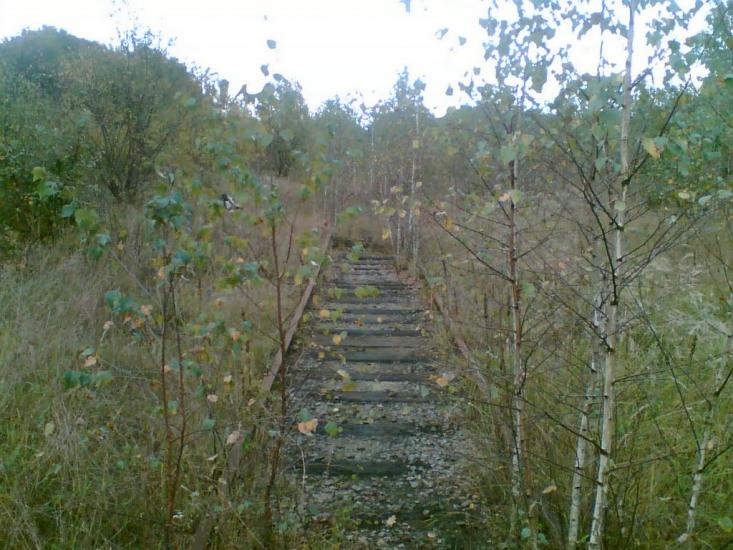 Червона Зірка з panoramio.com - Червоная Зирка