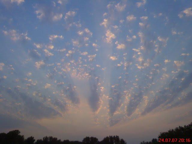 Кустолові Кущі з panoramio.com - Кустолові Кущі