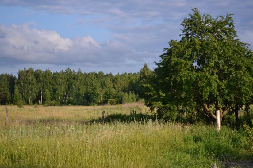 Пилівка з panoramio.com - Пылевка