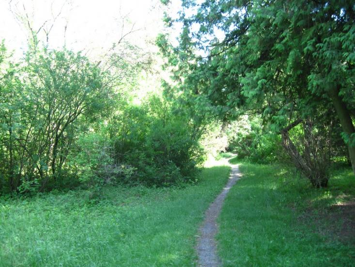 Бабичівка з panoramio.com - Бабичівка