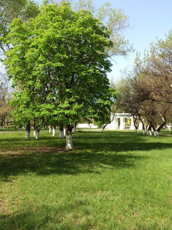 Перевальськ з panoramio.com - Perevalsk