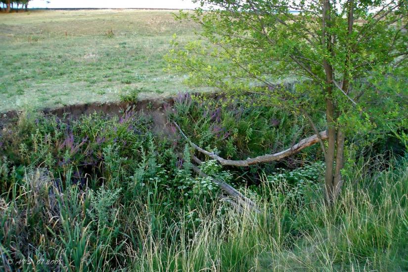 Українка з panoramio.com - Украинка