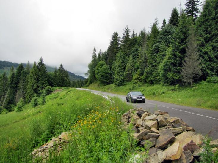 Сухий Потік з panoramio.com - Сухой Поток