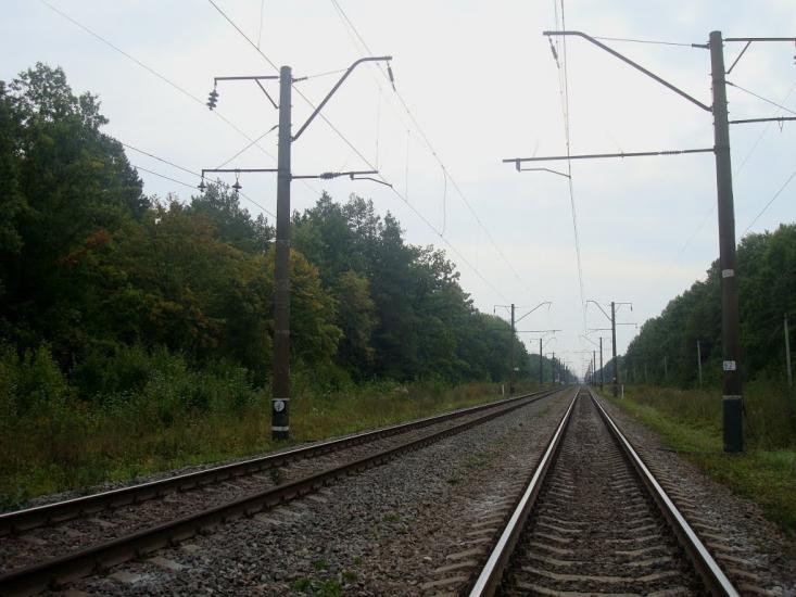 Цвітоха з panoramio.com - Цвітоха