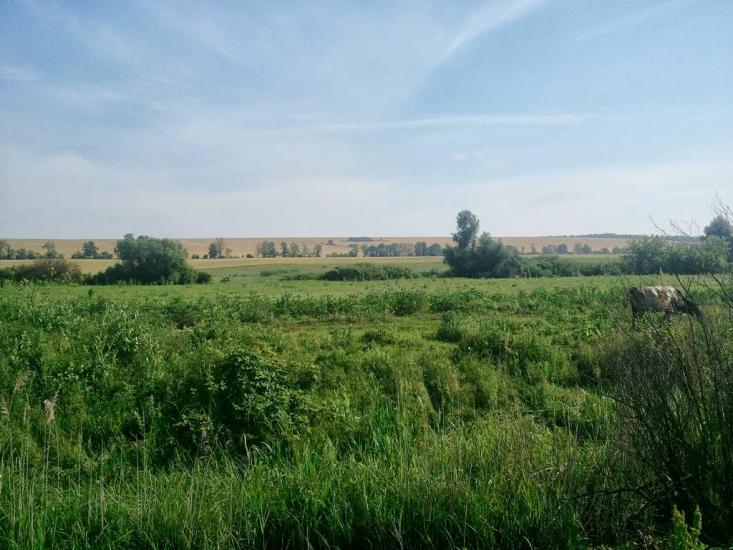 Новоукраїнка з panoramio.com - Новоукраїнка