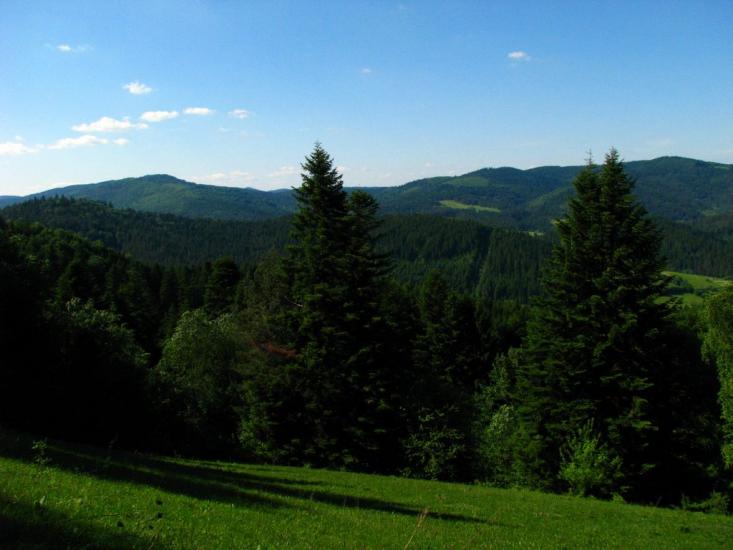 Бусовисько з panoramio.com - Бусовиско