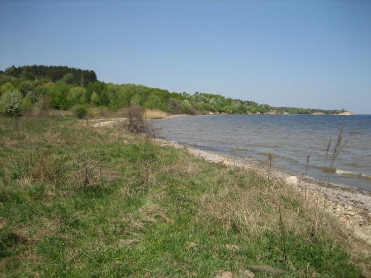 Григорівка з panoramio.com - Григоровка