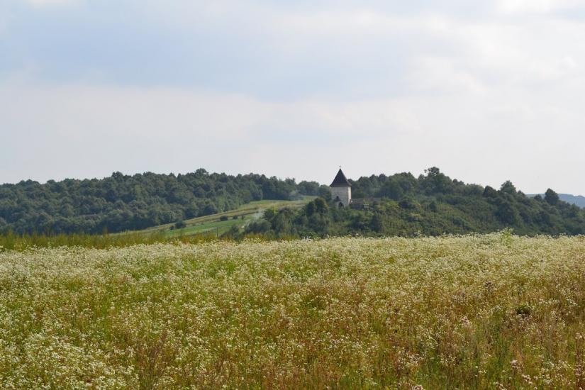 Сенів з panoramio.com - Seniv