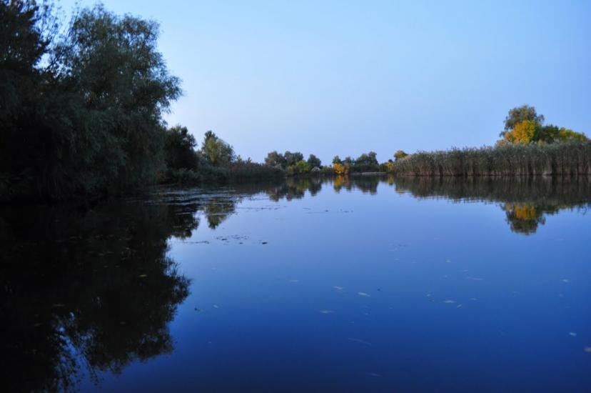Комишани з panoramio.com - Комишани