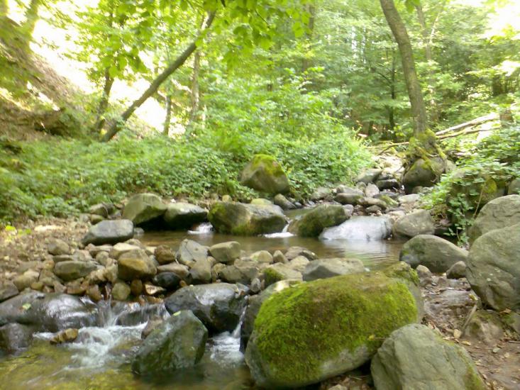 Пасіка з panoramio.com - Пасіка