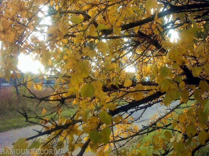 Токарі з panoramio.com - Токари