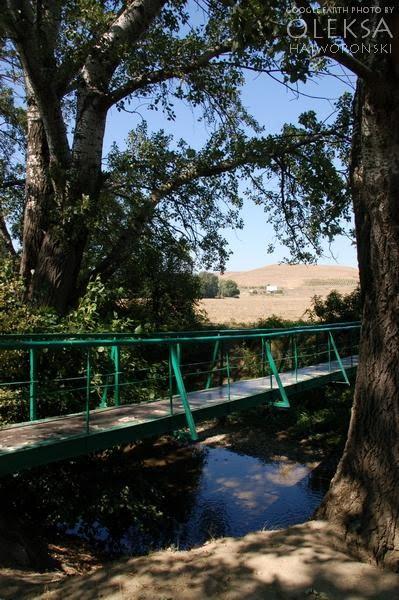 Айвове з panoramio.com - Айвовое