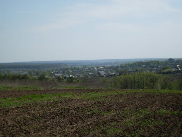 Куна з panoramio.com - Kuna