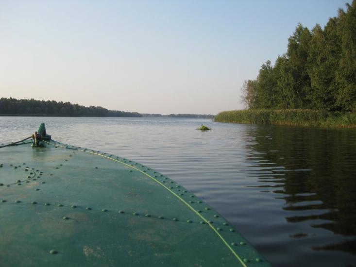 Сорокошичі з panoramio.com - Сорокошичи