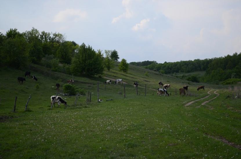 Замірці з panoramio.com - Замірці