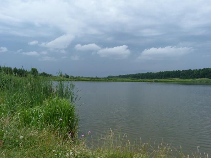Зарванці з panoramio.com - Зарванцы