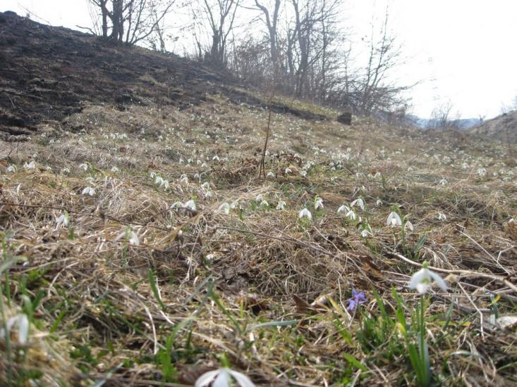 Розгірче з panoramio.com - Розгирче