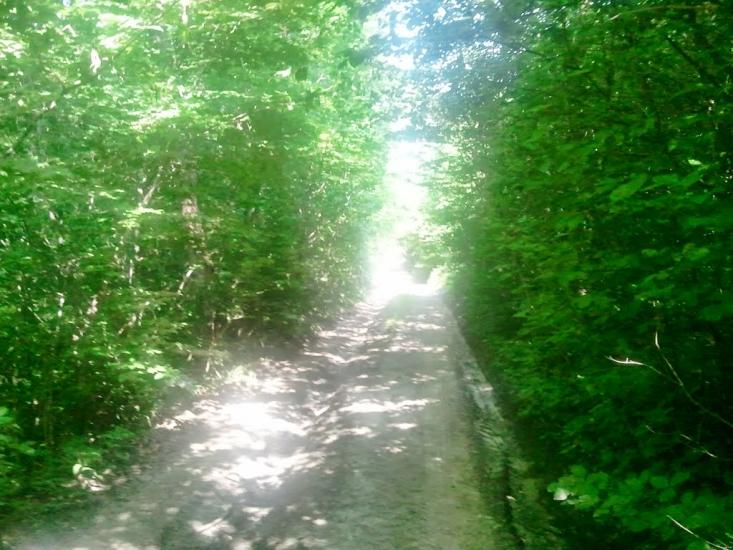 Слов'ятин з panoramio.com - Slovyatyn