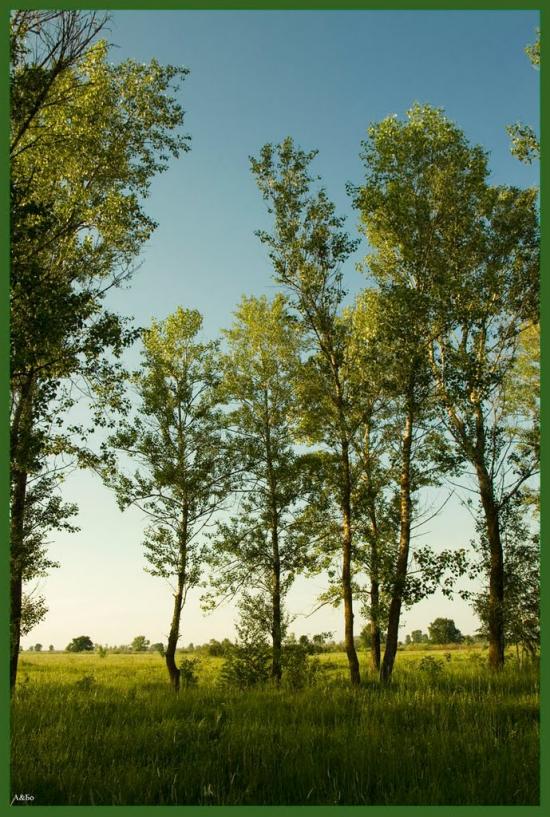 Зазим'я з panoramio.com - Зазимье