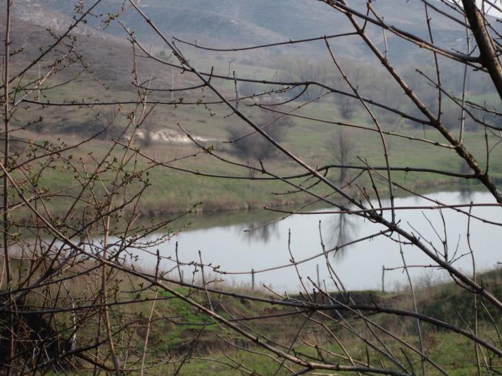 Василівська Пустош з panoramio.com - Василівська Пустош