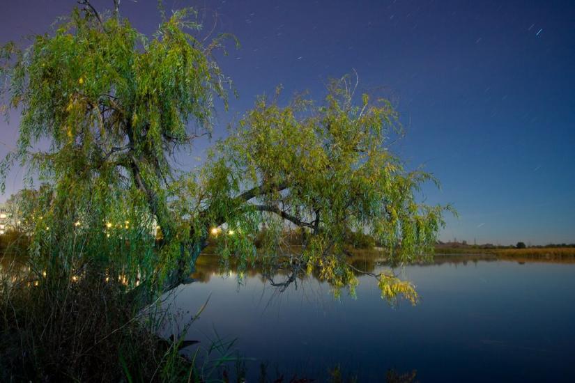Кулиничі з panoramio.com - Кулиничі