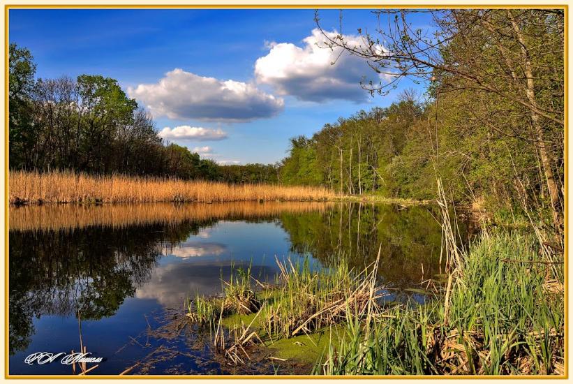 Дронівка з panoramio.com - Dronivka