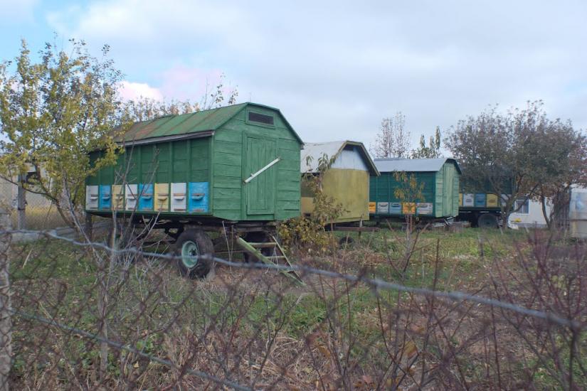 Козаровичі з panoramio.com - Козаровичи