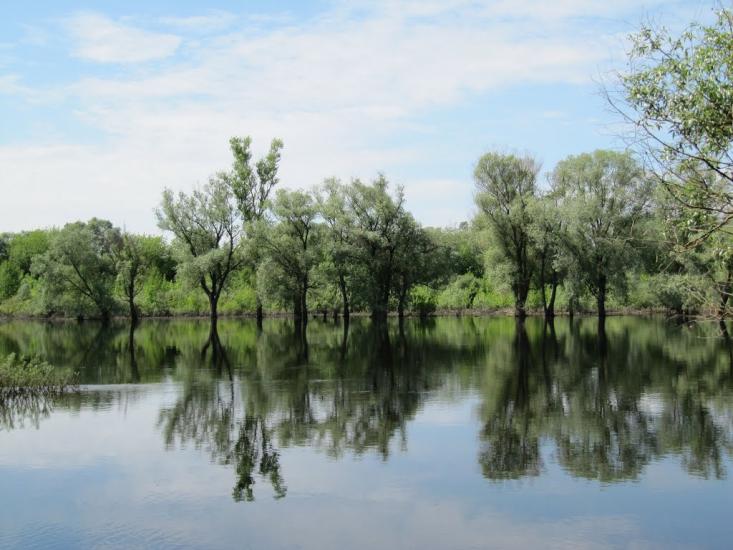 Дробишів з panoramio.com - Дробышев