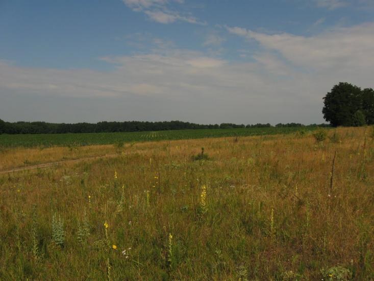 Семирічка з panoramio.com - Семиречка