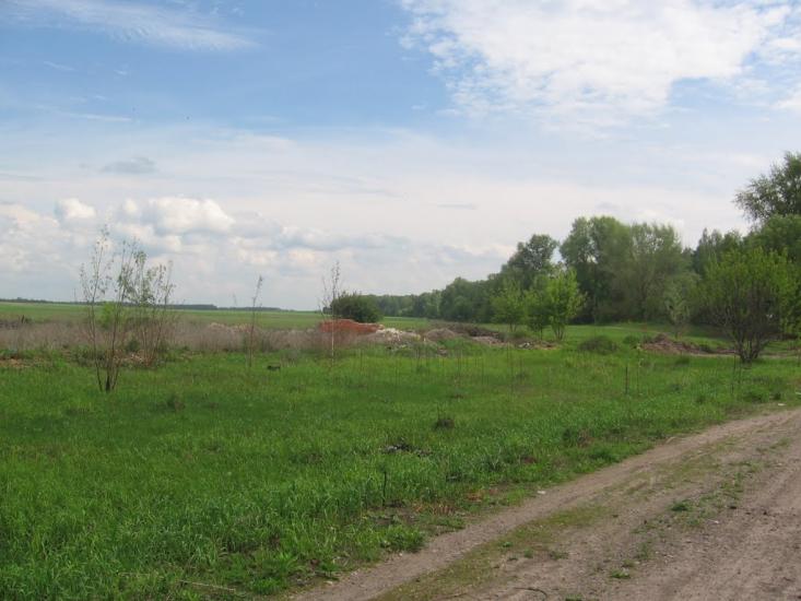 Товстоліс з panoramio.com - Толстолес