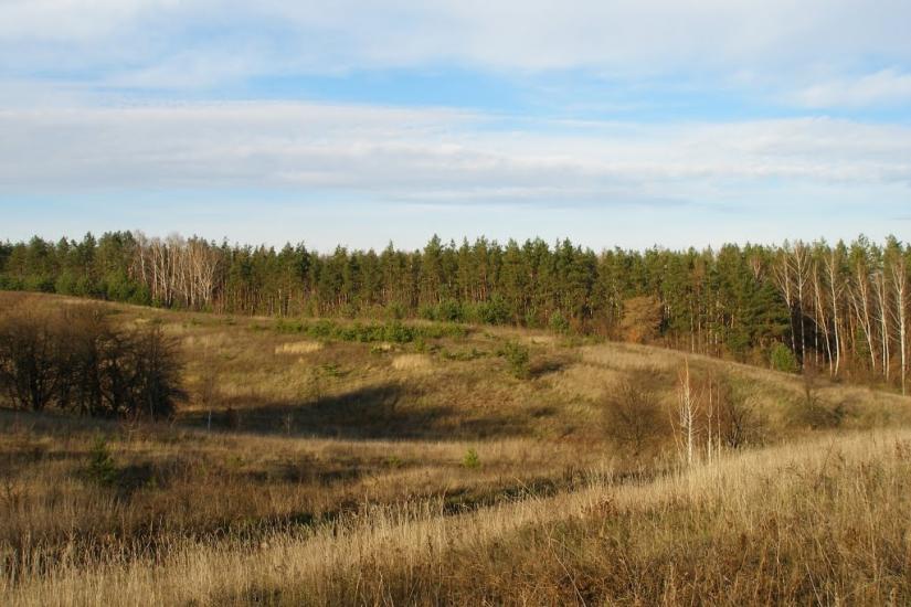Пушкарівка з panoramio.com - Пушкаревка