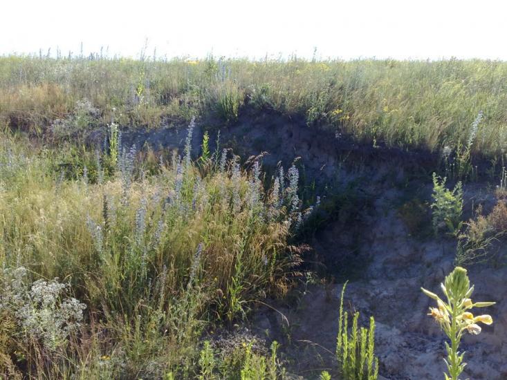 Верхній Салтів з panoramio.com - Верхній Салтів