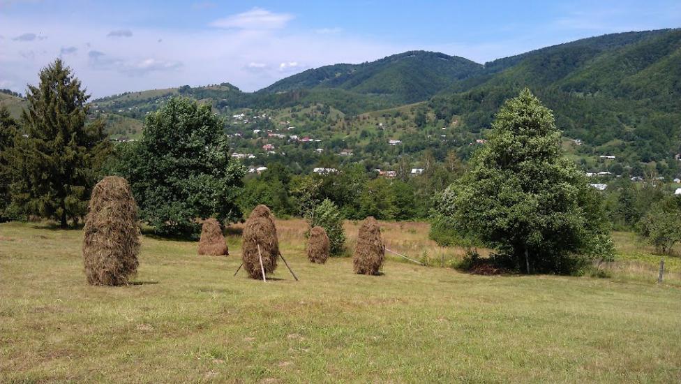 Прокурава з panoramio.com - Прокурава